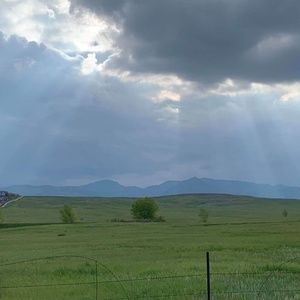 Meet your Posher, Sharon